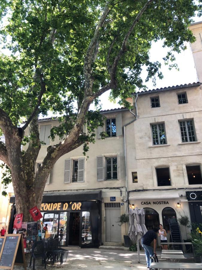 Avignon Pedestrian Area, Charming, 4 Persons Daire Dış mekan fotoğraf