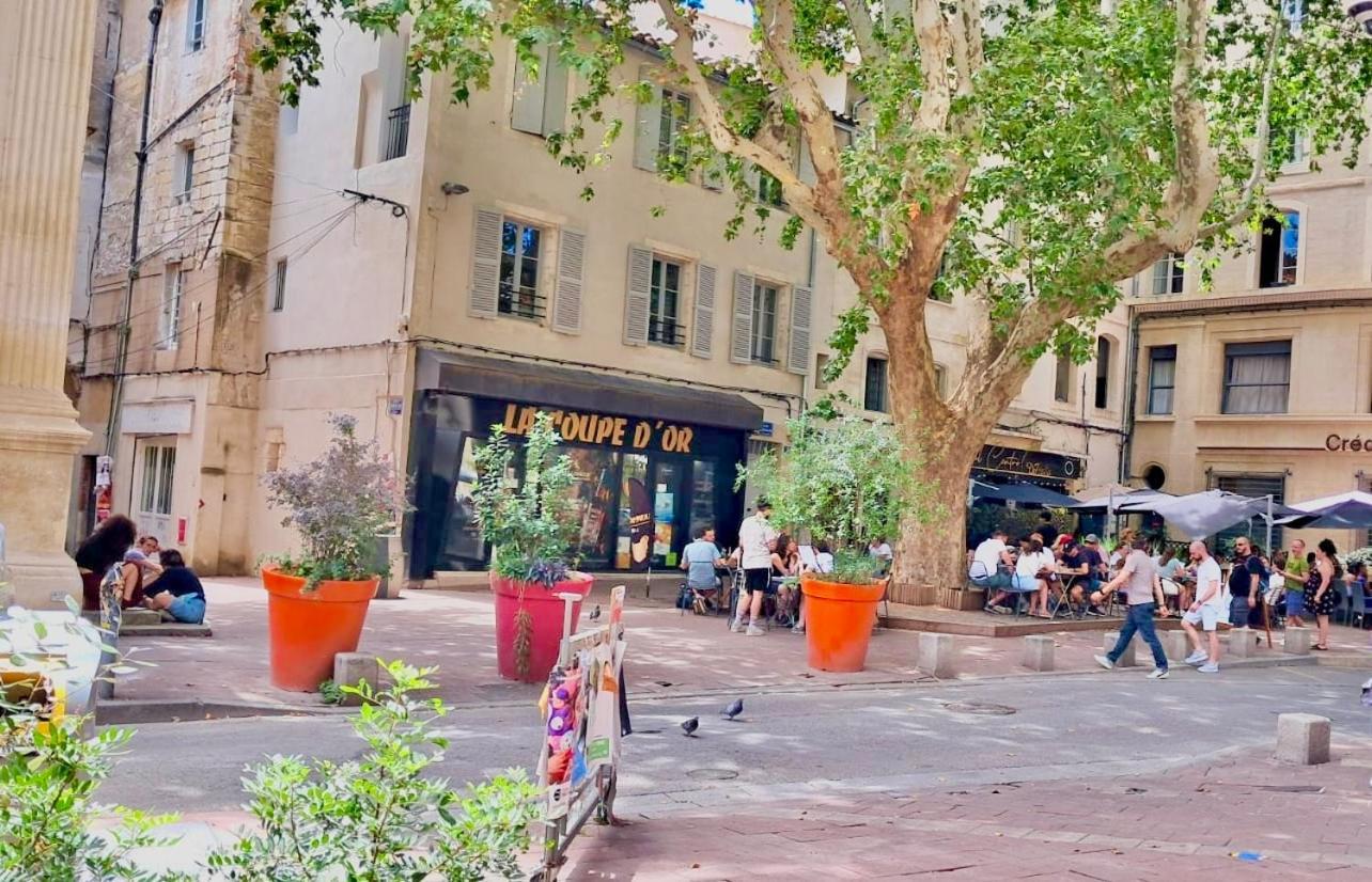 Avignon Pedestrian Area, Charming, 4 Persons Daire Dış mekan fotoğraf